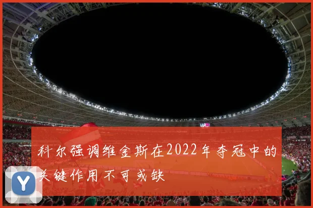 科尔强调维金斯在2022年夺冠中的关键作用不可或缺